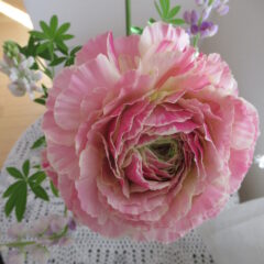 ドライフラワーリースの飾り方