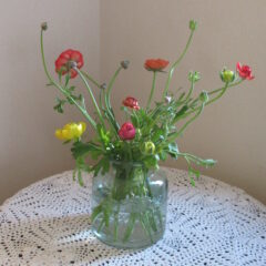 庭のお花に合わせたドライフラワーリース